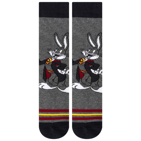 Set of 2x Men's colorful socks | Warner Bros | Bugs and Daffy | gift idea