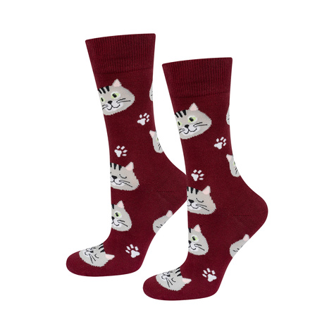 Women's Socks | Men's SOXO | Cat in a Box | fun gift idea | Unisex